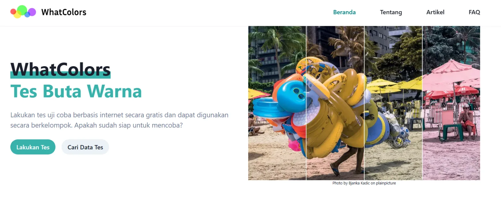 Revolusi Tes Buta Warna: Dari Klinik ke Browser, Bagaimana WhatColors Demokratisasi Akses Kesehatan Mata