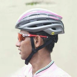Wisnu Hendro Wardhono